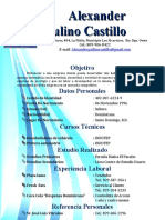 Alexander Paulino Castillo