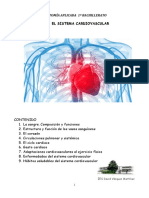 Sistema Cardiovascular