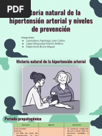 Hipertensión Arterial