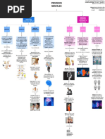 Mapa Conceptual de Los Procesos Mentales