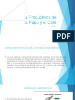 Sectores Productivos de La Papa y El Café