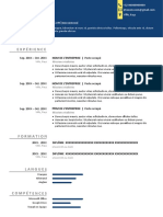 Modele CV Belgique