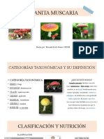 Amanita Muscaria - (Hongos) Micaela 1eso