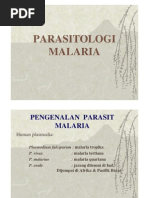 Pengenalan Parasit Malaria