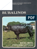 Bubalinos Resumos Informativos