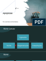 9 - Morte Celular PDF