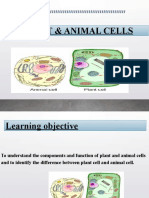 Comparing Plant and Animal Cells l-3