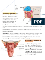 Video de Faringe LABORATORIO PDF