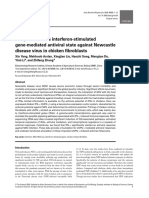 IFN-γ establishes interferon-stimulated gene-mediated antiviral state against Newcastle disease virus in chicken fibroblasts PDF