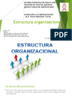 Estructura Organizacional