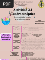 Actividad 2.1 Cuadro Sinóptico AIG PDF