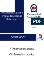 CLASE 3. Inflamación Aguda y Crónica Neoplasias y Metastasis.