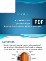 Uveitis PDF