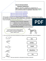 Ciencias Guian°4 2°básico.