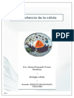 La Importancia de La Celula PDF