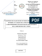 Rapport Decouverte Eap 12 - 061308