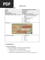 TK B MA RPPH Topik Pengenalan Sekolah 2minggu