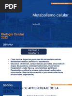 Biología Celular - Metabolismo Celular-7-16