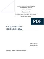 Informe de Malformaciones Histologicas