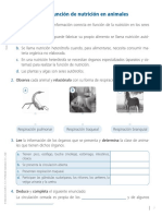 FT - Función de Nutrición en Animalesl