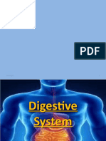 Digestive System PPT