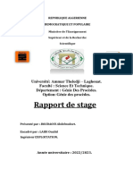 Rapport Boudaoui PDF