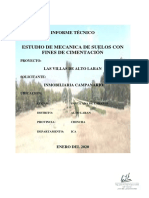 01 - Informe CHINCHA PDF 1