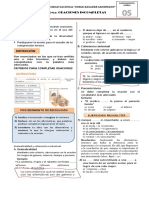 Práctica N°05 Razonamiento Verbal - Con Clave - C PDF