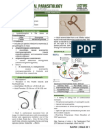 Clinical Parasitology Trans 07 Lecture PDF