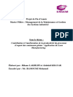 Rapport PFA PDF