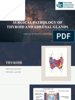 Surgical Pathology For Dentistry Students - Surgical Pathology of Thyroid and Adrenal Glands