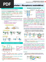 Biologia Molecular e Celular - Resumo Da Prova 2 PDF