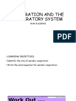 Respiration and The Respiratory System