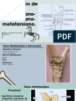 Articulacion Del Tarso