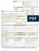 Sne Solicitud de Empleo Contestada PDF