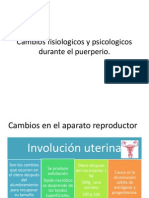 Cambios Fisiologicos y Psicologicos Durante El Puerperio