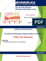 Ciclo Menstrual