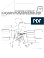 Science8 - Digestive System