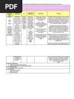 Planificación de Actividad Complementaria - Ever Abad Huaman