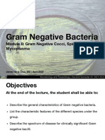 Module 8 Gram Negative Cocci