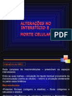 UNIDADE 3 - Alterações No Interstício e Morte Celular