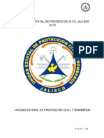 Programa - Estatal - de - Proteccion - Civil 1000