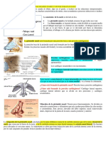 Apuntes Otorrino - X Semestre-1