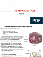 Human Reproduction