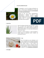 Plantas Medicinales