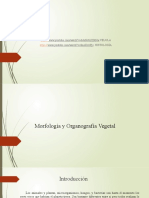 Clase 02 A Organografia Vegetal