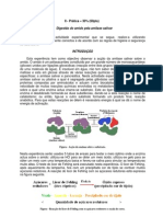 Protocolo Experimental-Por Resolver