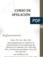 Recurso de Apelacion