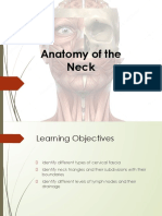 Anatomy of The Neck