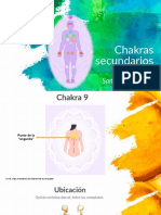 Chakras Secundarios 9,10,11